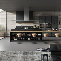 CUCINA IN FENIX